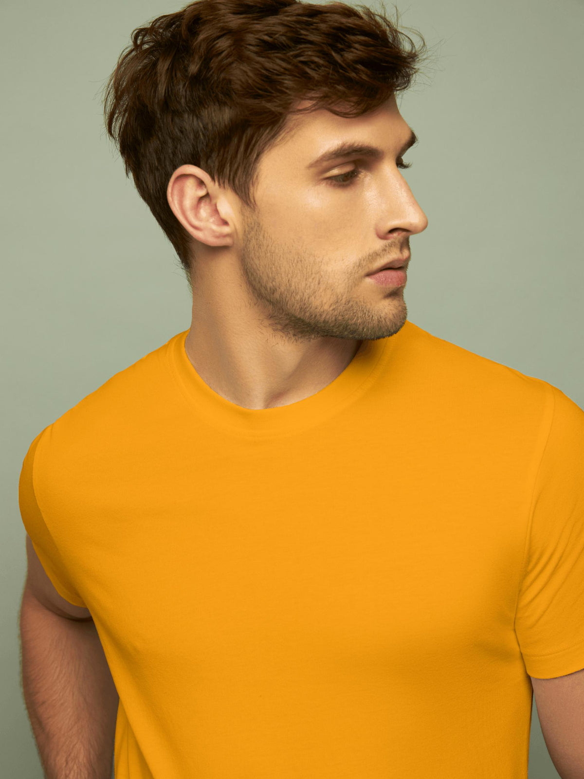 Men's Cotton Classic Fit T-Shirt
